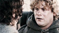 dontlookbackcarl:  The Middle Earth Meme Three Heroes [1/3] → Samwise Gamgee  &ldquo;The