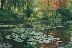  Monet’s Garden. 