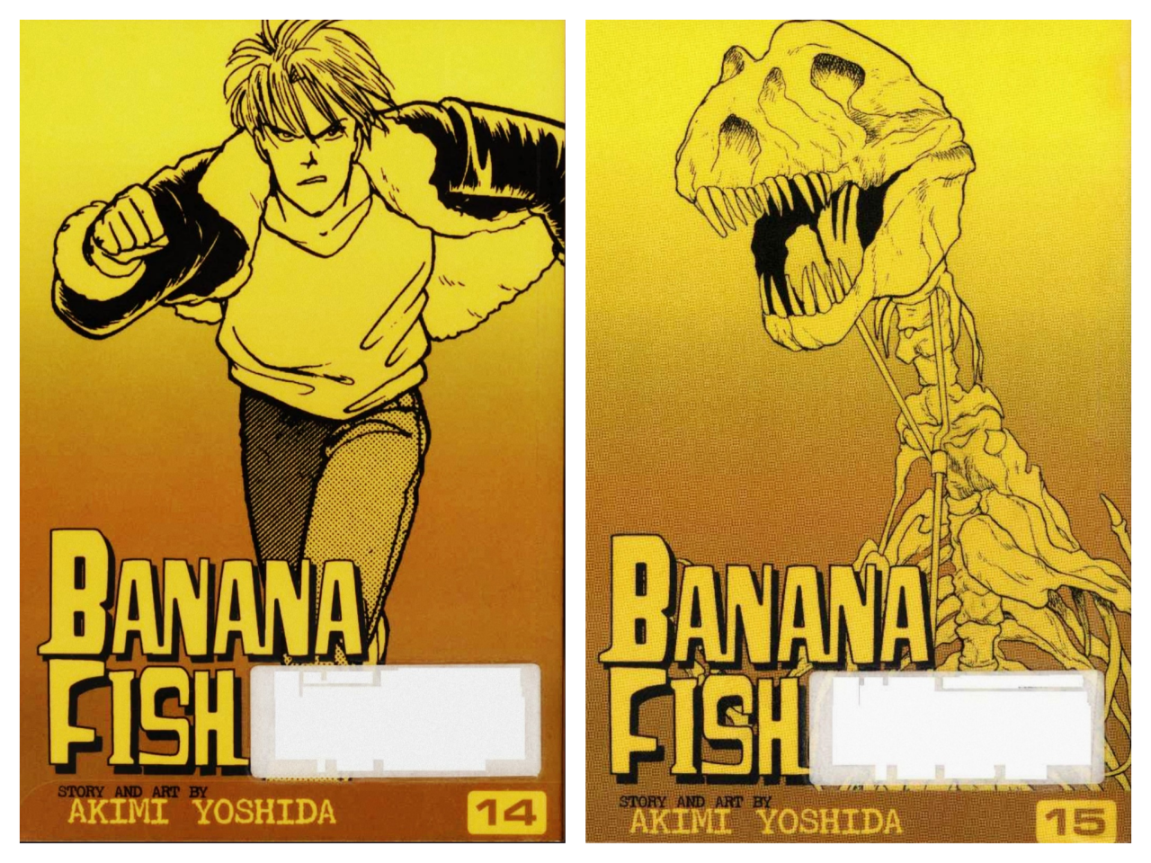 Banana Fish Manga Volume 15