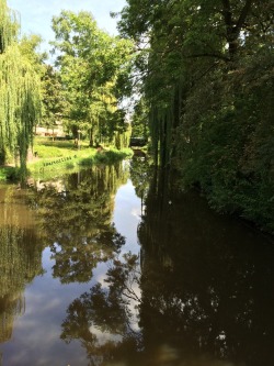 The park close to my place