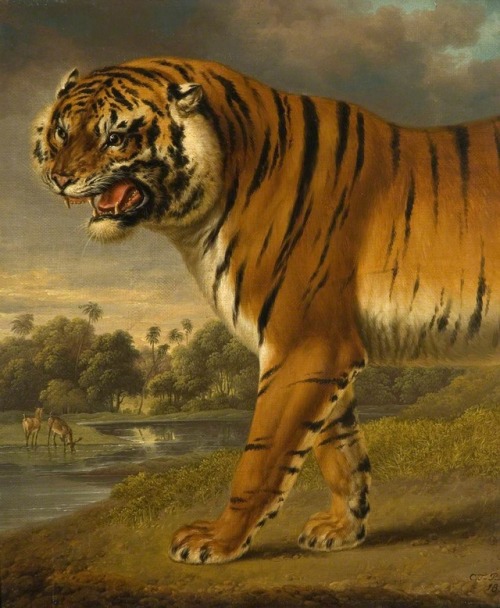 centuriespast - A TigerCharles Towne (1781–1854)Wolverhampton Art...