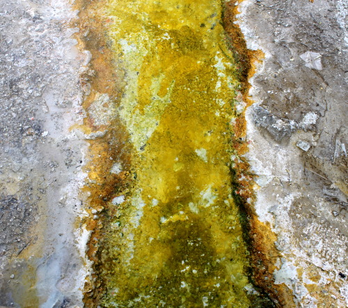 Colors, Yellowstone Natl. Park, WY