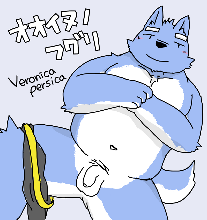 andisw:  By おちゃづけ 