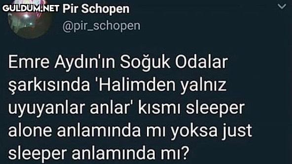 düşündürdü Pir Schopen...