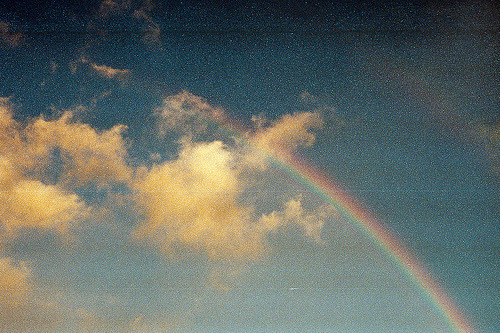 SIMPLEMENTE NATURAL