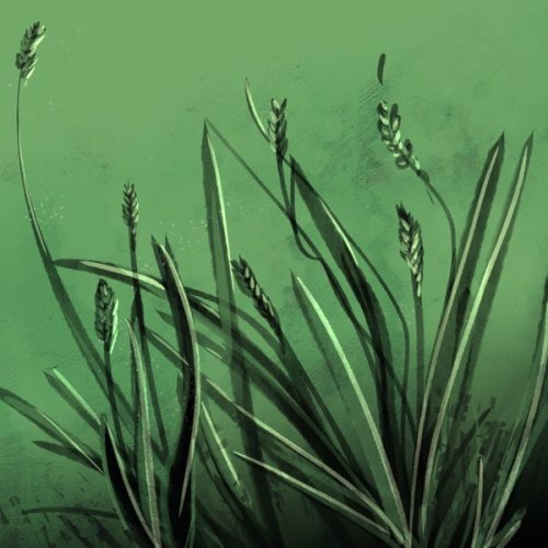 Playing with brushes last night yielded this nice little painting of some grasses.Most of these brus