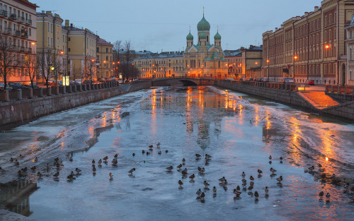 allthingseurope: Saint Petersburg, Russia (by Sergei Sigov)