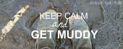 keepcalm-equestrians:  Thanks for the photo and submission! zweefmoment 