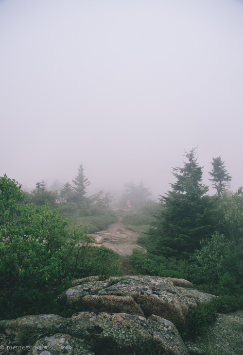 ~Cadillac Mountain~