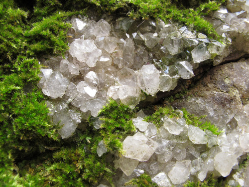 wild-nirvana:the-clockmakers-daughter:Quartz Crystals (by duckinwales)