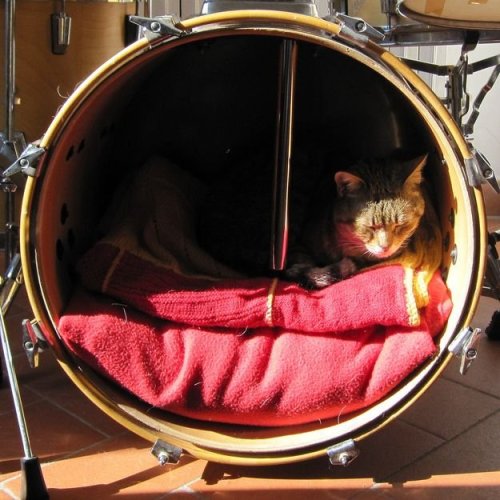 That&rsquo;s why a bass drum is the best part of a drum kit.