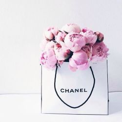 everythingchanel:  happy valentines day