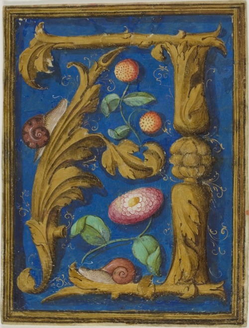 heaveninawildflower:  Snails, Strawberries and a Flower in a Decorated Initial ‘A.’  Man