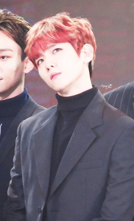 baekkie