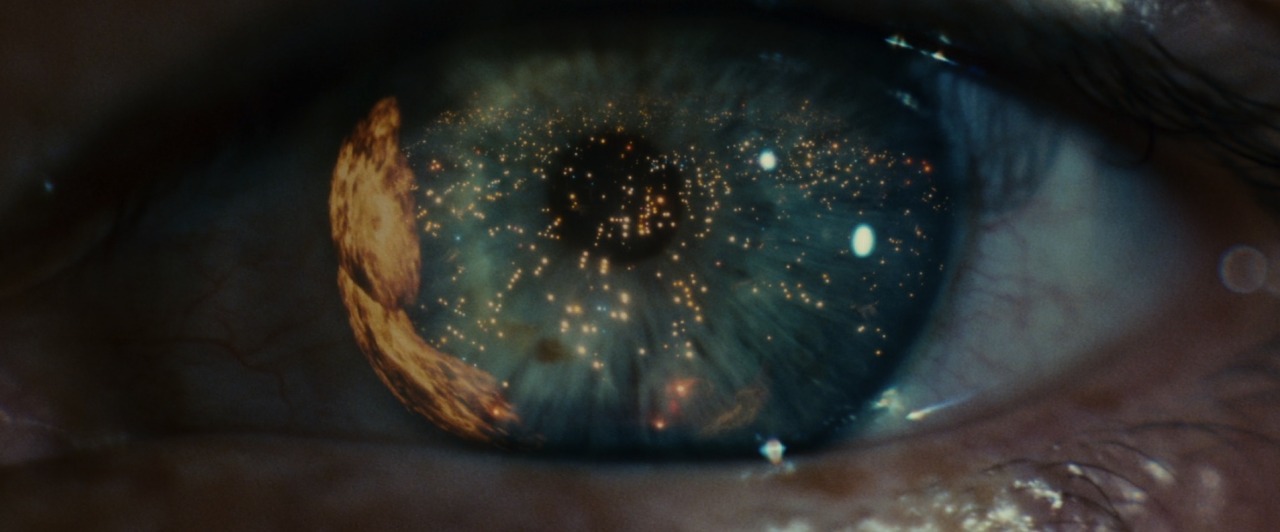 magictransistor:  Ridley Scott, Blade Runner, Warner Bros. 1982. 