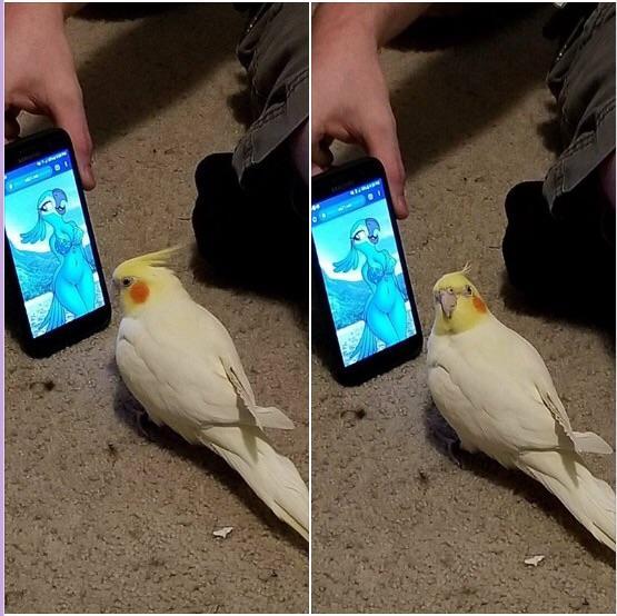 quidditchfan:  picsthatmakeyougohmm:  hmmm   if he - Why are you showing me this?if
