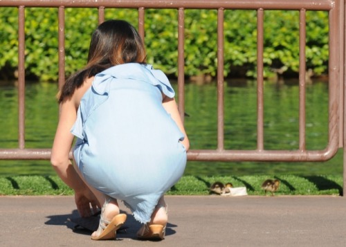 Aren’t those little ducklings cute?