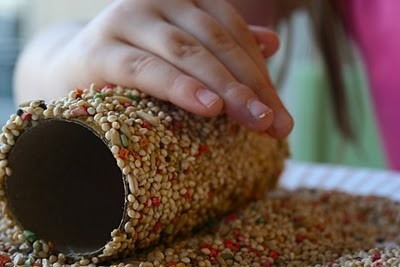 Winter bird feeder ~ get an empty paper tube (from paper towels or t.p.), slather