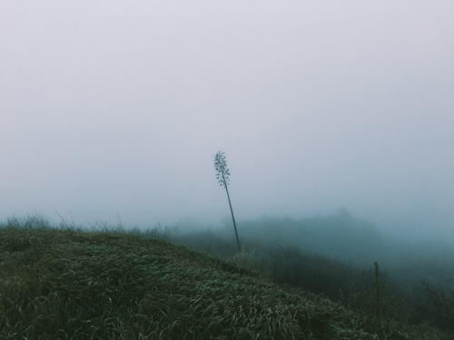 Dreams, where I’m fadingLa Tuna Canyon, CAinstagram