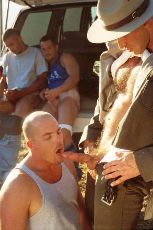 http://nudedriver.tumblr.com/post/113973900509