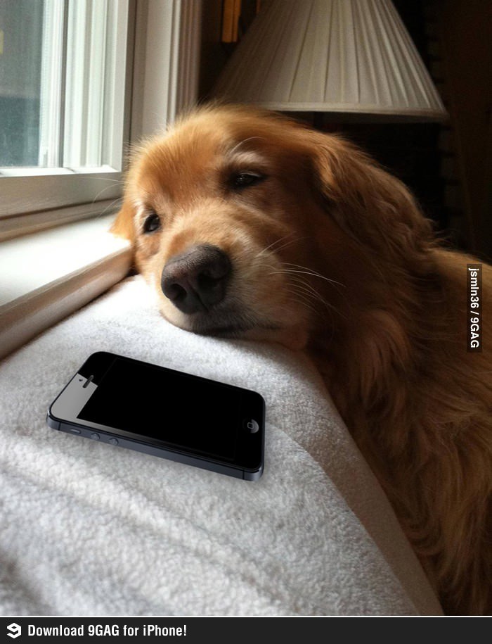 writerman-js:  (via 9GAG - Me waiting for a reply from my crush.)