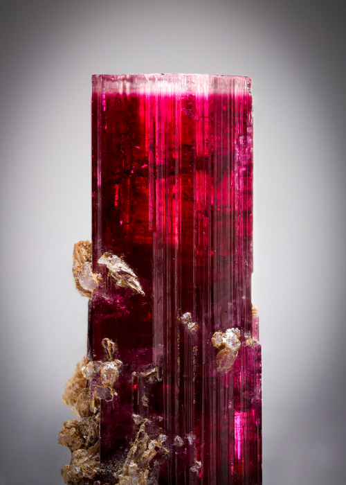 vugnasmineralblog:Elbaite Tourmaline var. RubelliteJonas Mine, Conselheiro Pena, Minas Gerais, Brazi