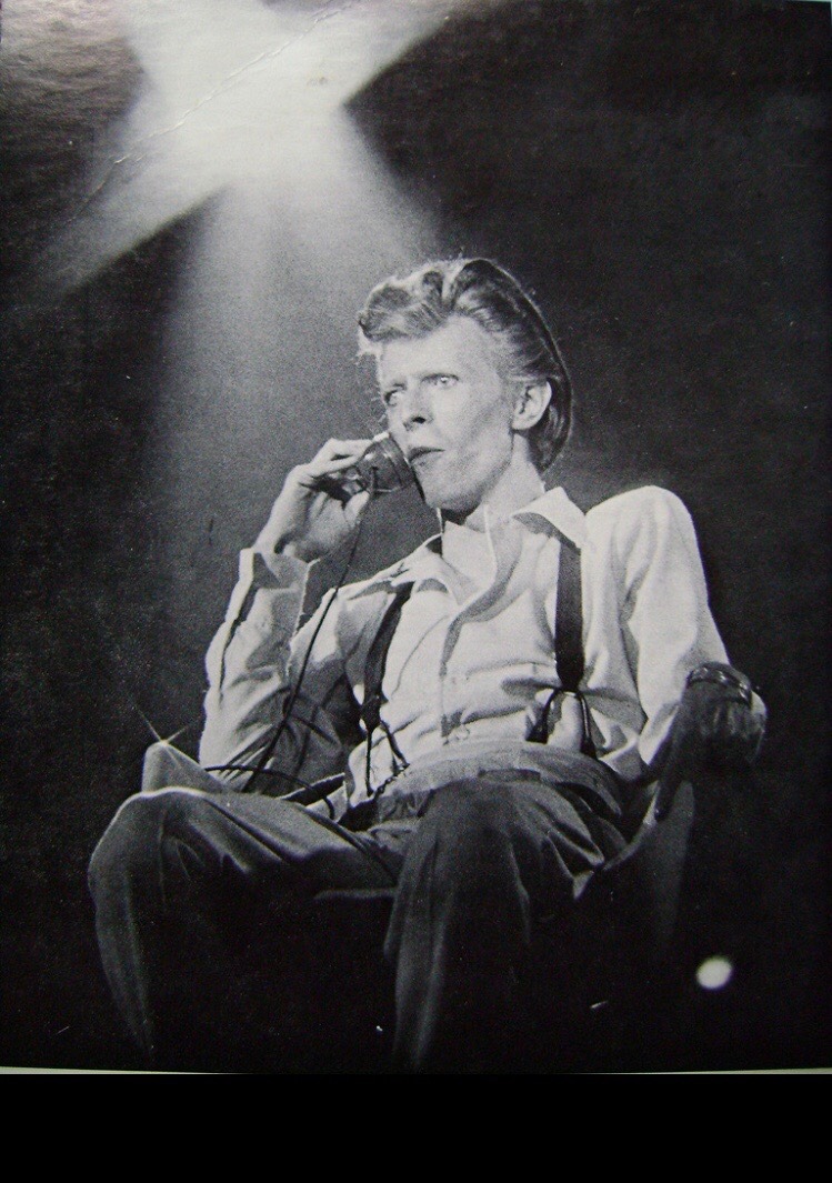 wingedbelievereagle: DAVID BOWIE ‘DIAMOND DOG TOUR’ …1974 😍 Source :google