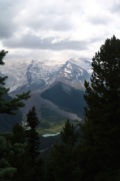 epaynephotography:Mt. Rainier National Park, WA