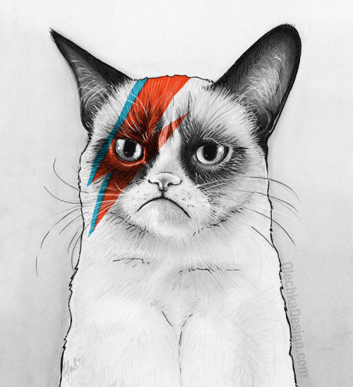 'cause.... We Love Cats
