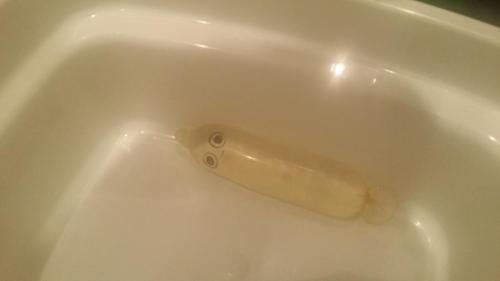 siphersaysstuff: reinodelocos: yaycreamymancakes: i filled a condom with water and gave it feelings 
