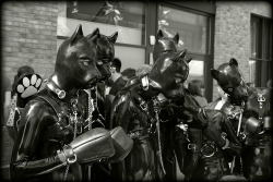 Perroscalientes:  Http://Nuevaediciondeperros.blogspot.com/ 