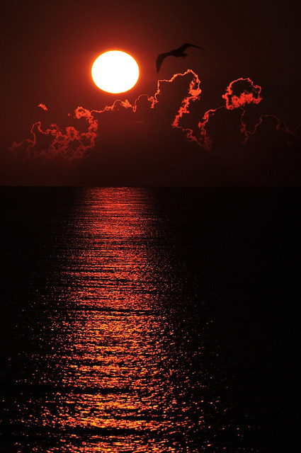 d-vn:  A sunrise over the Black Sea, Crimea by Sevastopol on Flickr. 