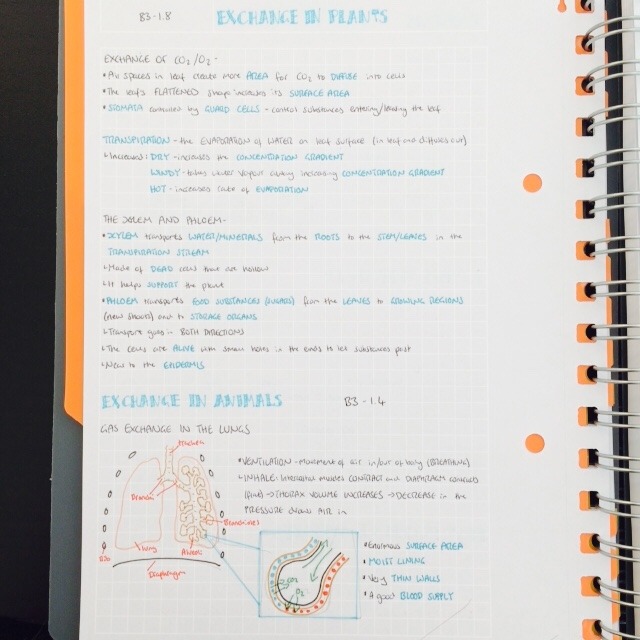 joolshallie:A few hours and a messy desk later the biology notes and review is done