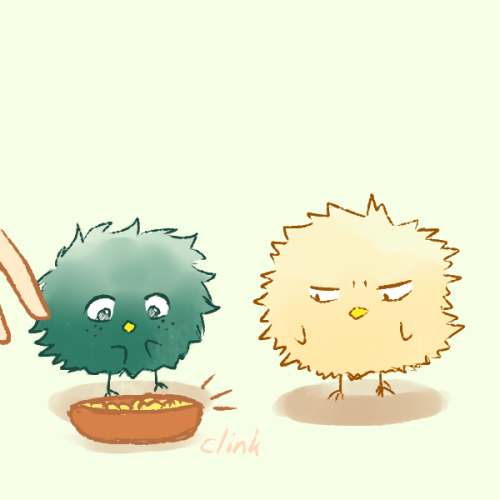 insanemarshmallow: Katsuki chick hates pets.or he’s jealous who knows? 