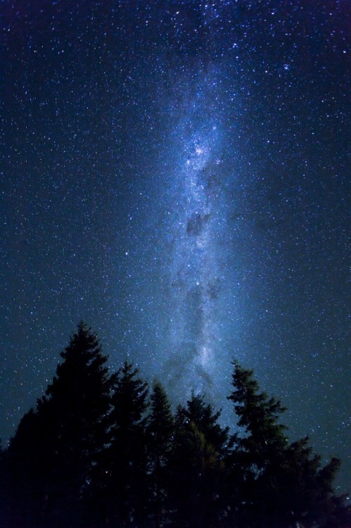 wavemotions:NZ by Jeremy Reddington