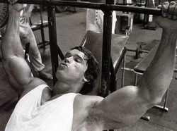 steadymirin:  always reblog arnold. 