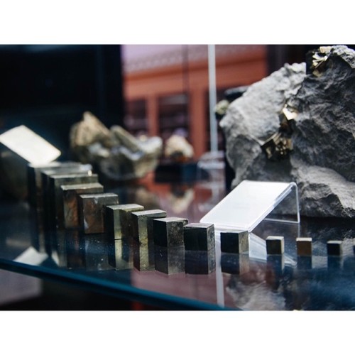 Pyrite cubes #pyrite #minerals #crystals #rocks #geology #lisbon #museugeologico (at Museu Geológico