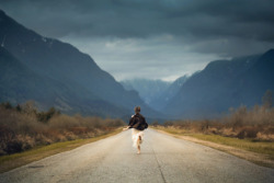 sift:  by Lizzy Gadd