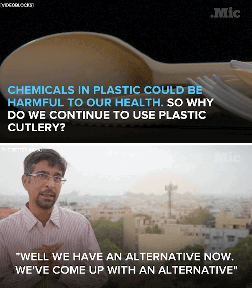 alaija: sighinastorm: stealthbaguette: tinierpurplefishes: the-future-now: Eco-friendly and deliciou