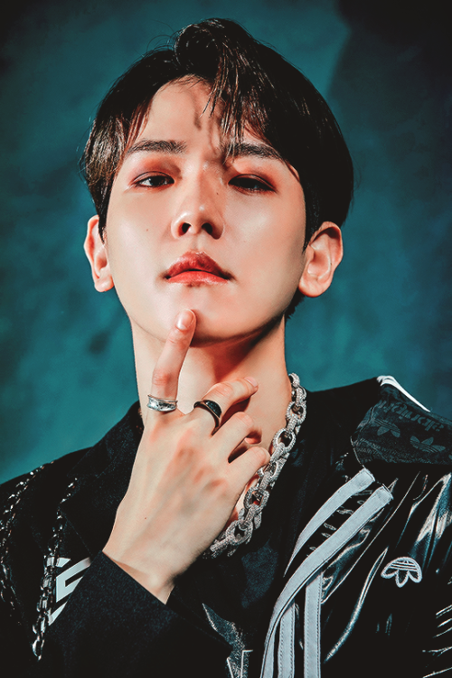 exo-stentialism:  Baekhyun ✦ Tiger Inside