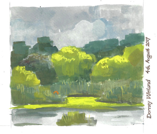 Dorney WetlandGouache sketch 4th August 2017