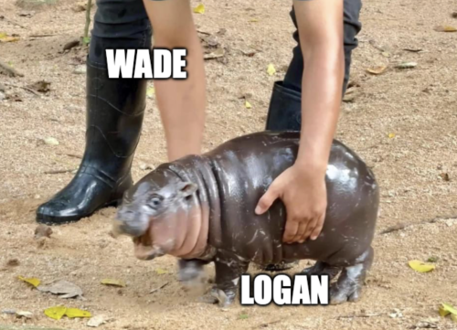 Live Footage Of Deadpool Snatching Logan From His Universe: