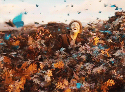 chriscappuccino:  Bilbo crying about butterflies,