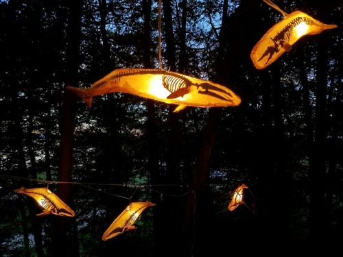 lastxleviathan: darkbookworm13: sosuperawesome: Whale Skeleton Lamps Whalefall Light on Etsy See our