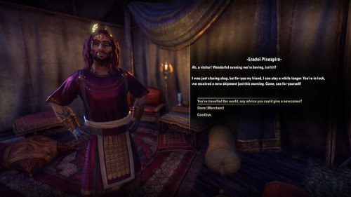 quartervirus: The ESO NPC Simulator Master Post Faux dialogue screens of my characters as they might