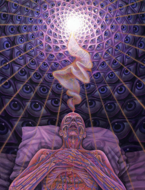 Alex Grey Visionary