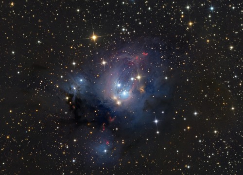 alxndrasplace:(NASA)  Young suns still lie within dusty NGC 7129, some 3,000 light-years away t