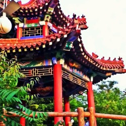 Dalian Botanical gardens pagoda. #dalian