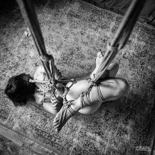 acordesetacris:  Shibari