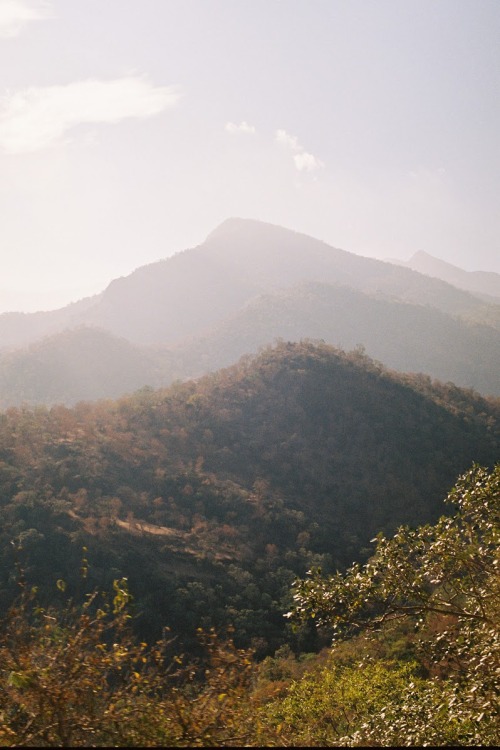 India 2013: The view from the bus to Munnar. 50mm, Nikon F4S, Kodak Portra 400